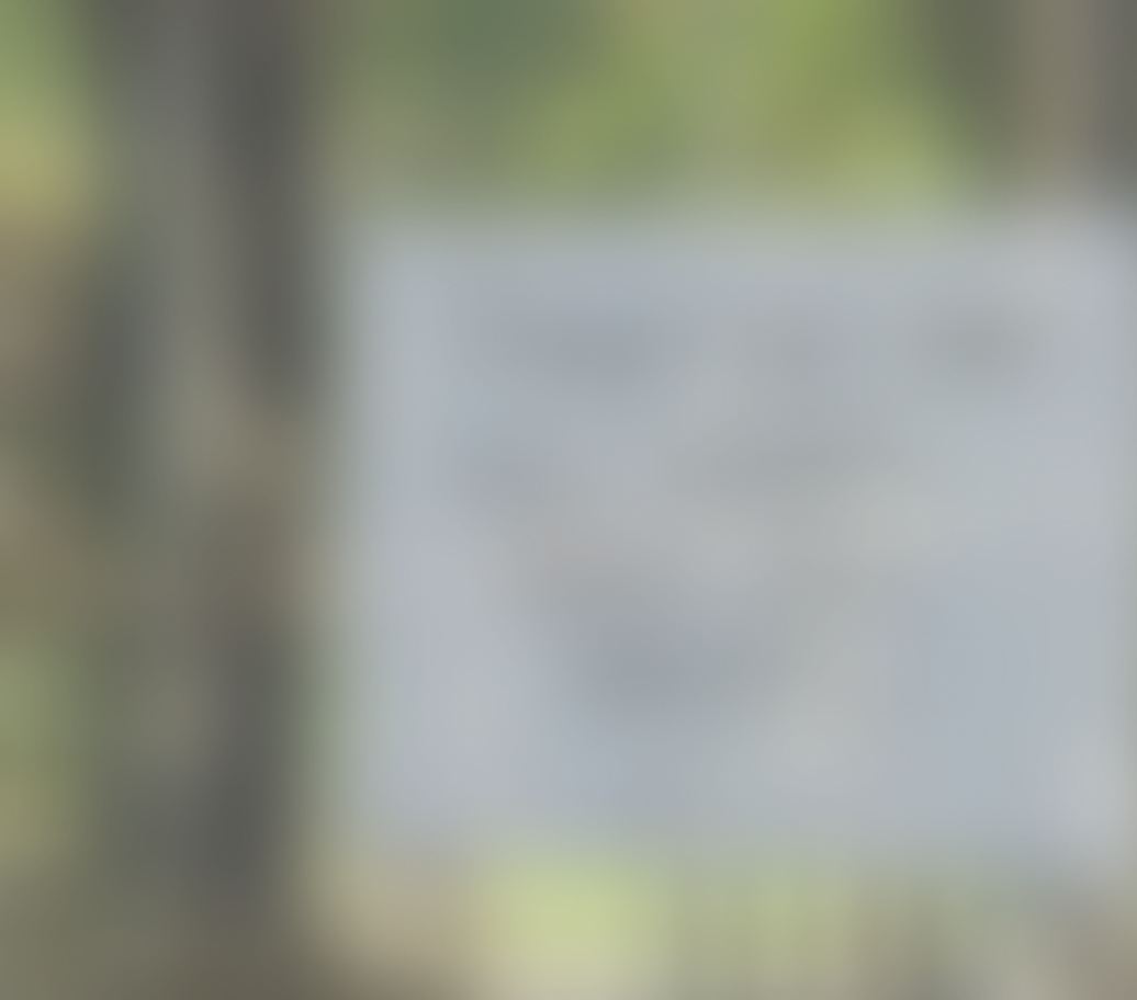 Master Plan Brochure - Page 2